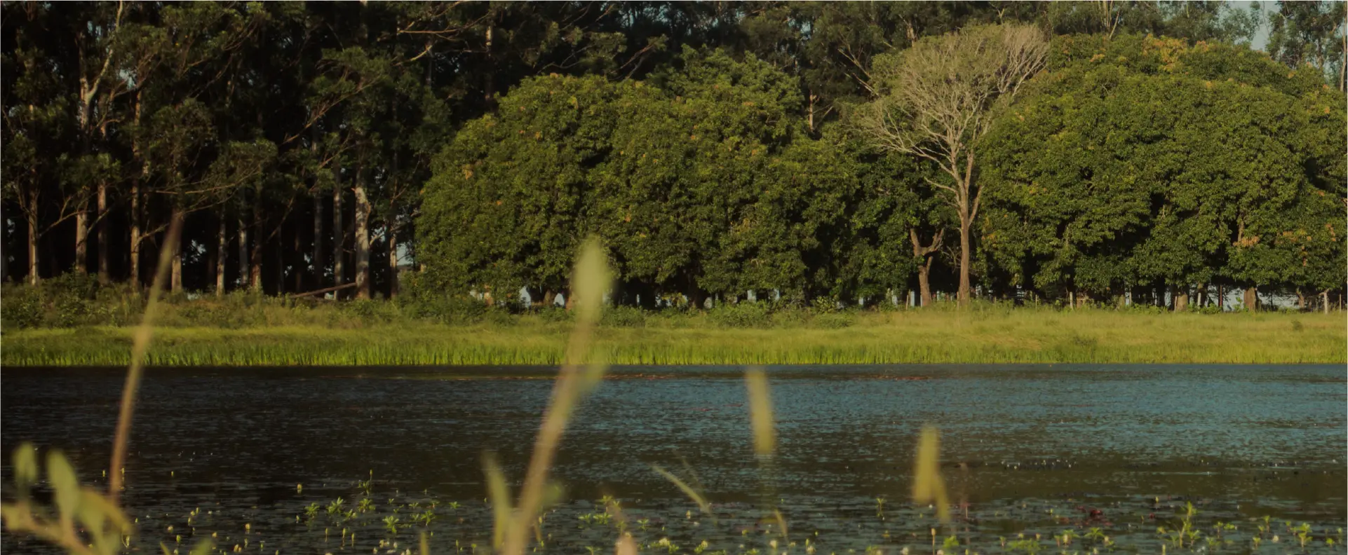 Laguna Búfalo